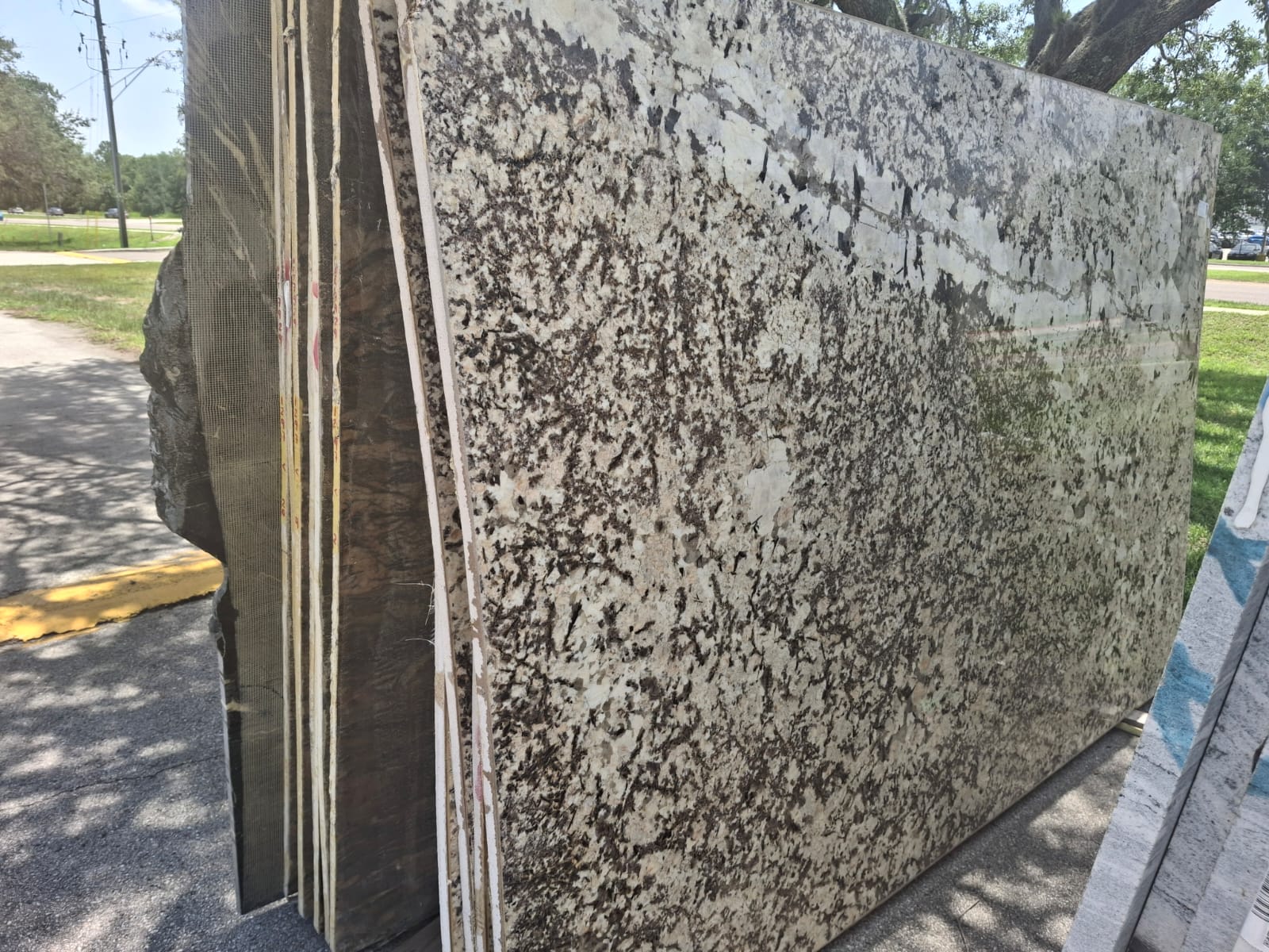 Delicatus White slab sample